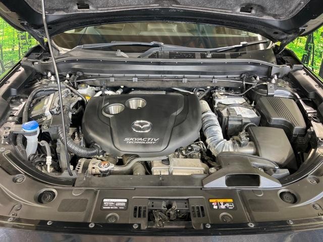 25384509_carP_l_12.jpg