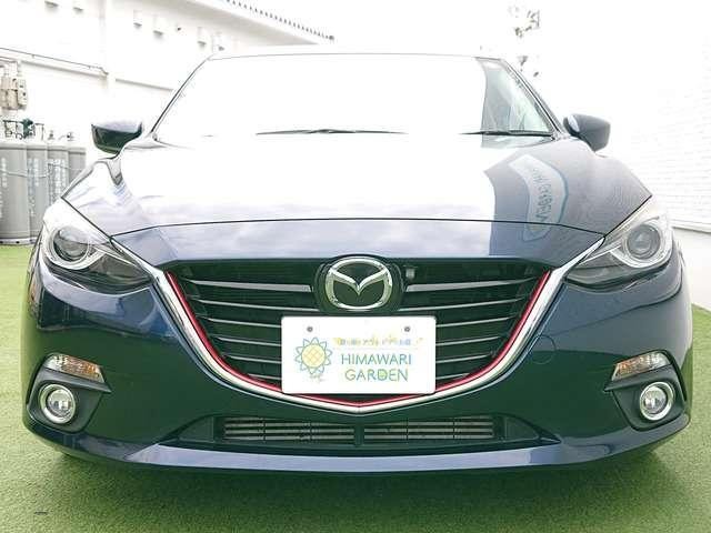 26665167_carP_l_11.jpg