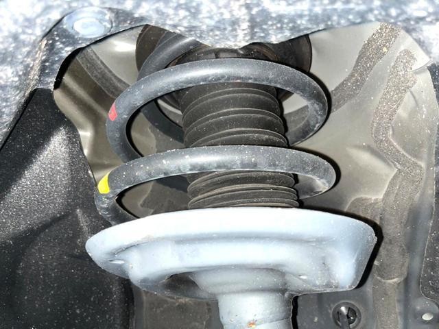 25199354_carP_l_20.jpg