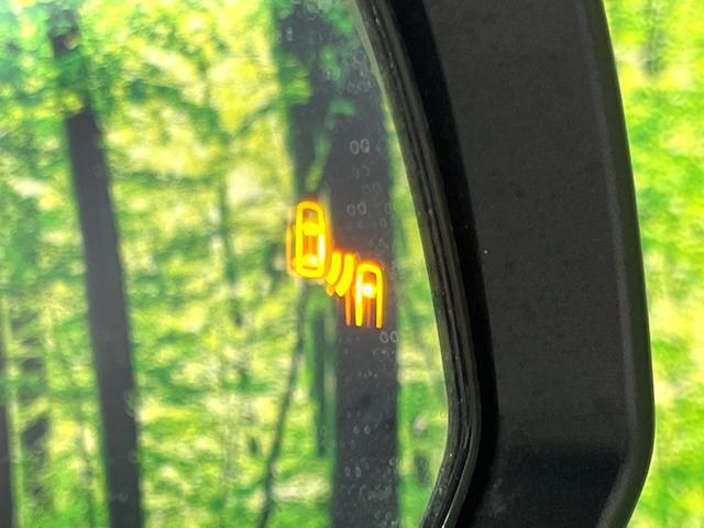 24869587_carP_l_13.jpg