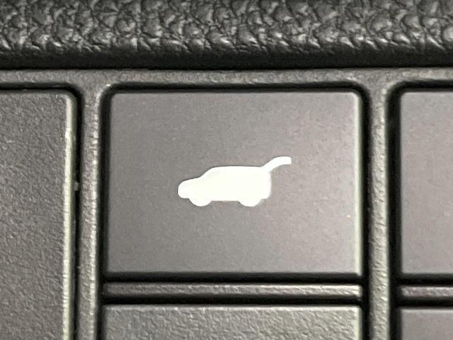 23986970_carP_l_13.jpg