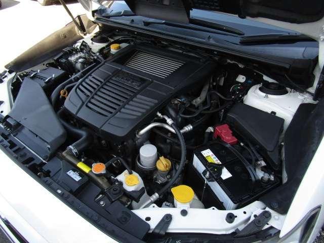 22932390_carP_l_18.jpg