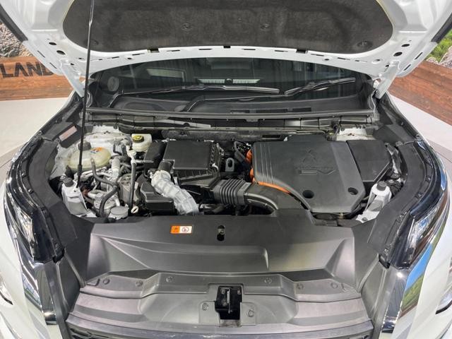 25158524_carP_l_18.jpg