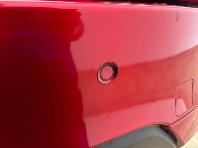 25788124_carP_l_17.jpg