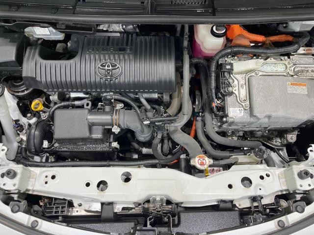 26402952_carP_l_16.jpg