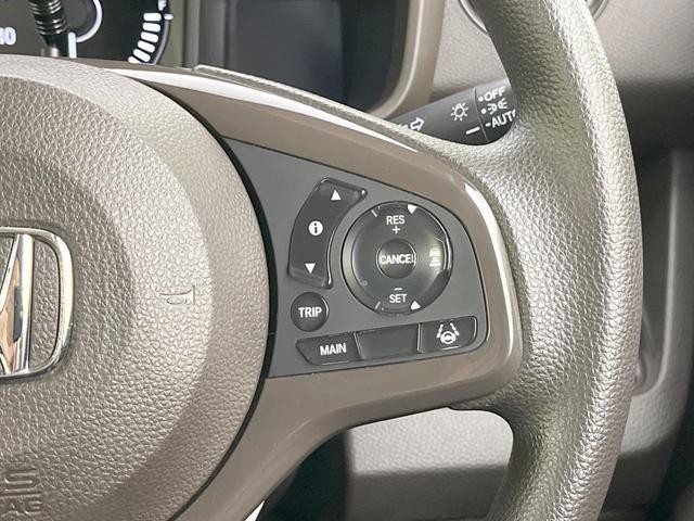 25199650_carP_l_10.jpg