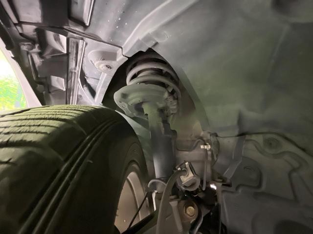 25445795_carP_l_20.jpg