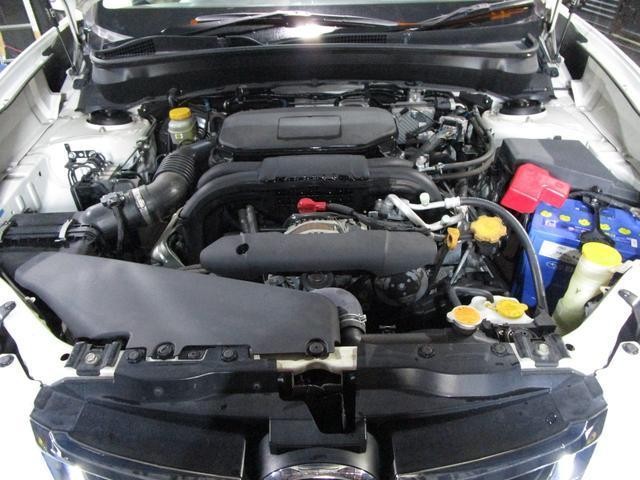 26184373_carP_l_20.jpg