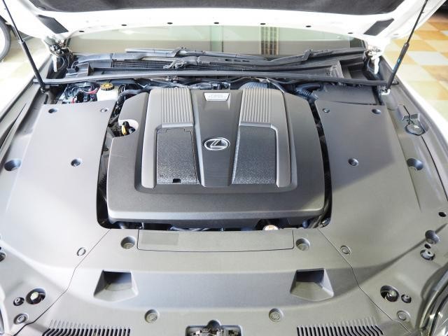 26184504_carP_l_17.jpg