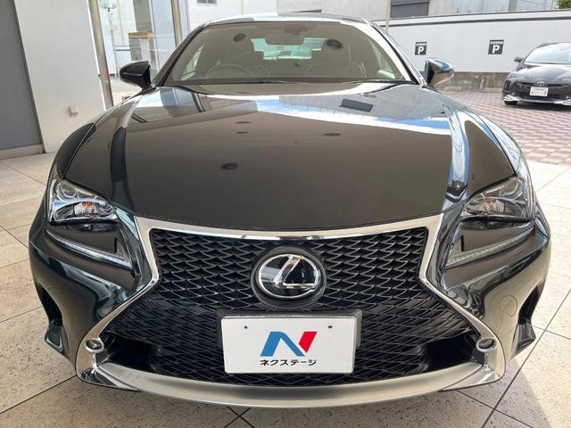 26105539_carP_l_9.jpg