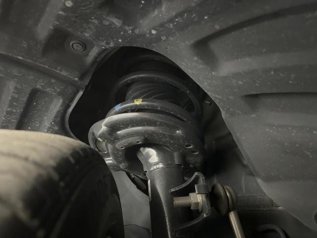 25425428_carP_l_20.jpg