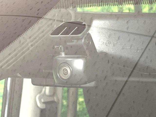 24319699_carP_l_14.jpg