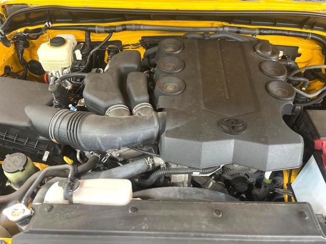 24050844_carP_l_16.jpg