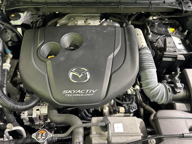 25445980_carP_l_18.jpg