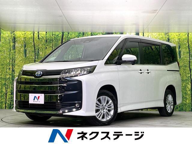 22869689_carP_l_1.jpg