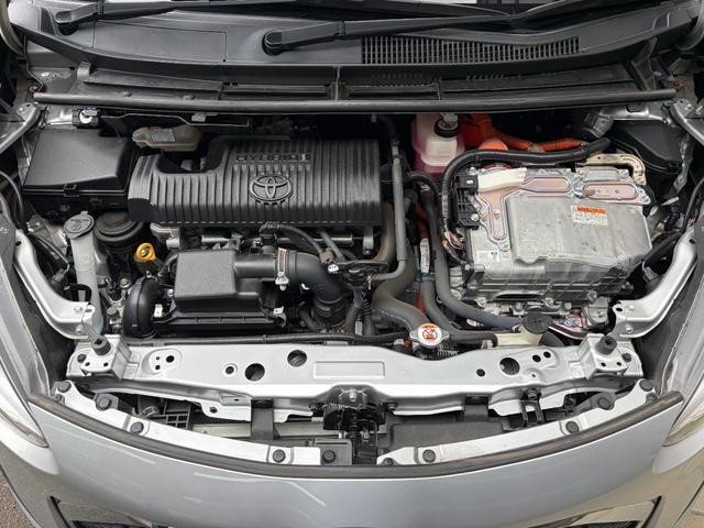 26308277_carP_l_12.jpg