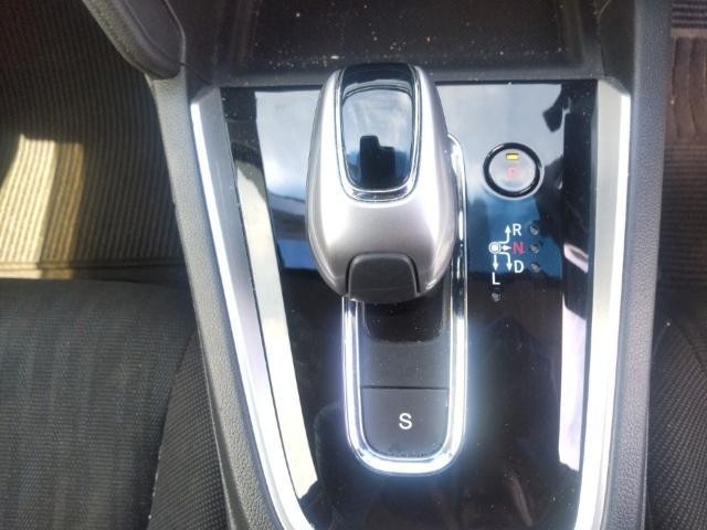 25879702_carP_l_6.jpg