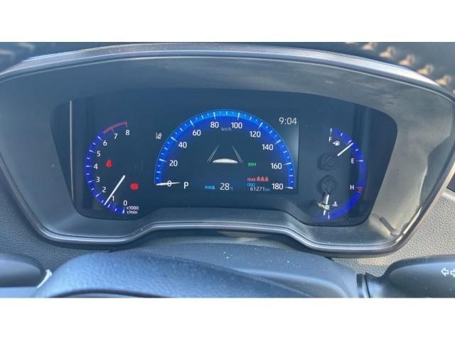 25755297_carP_l_16.jpg
