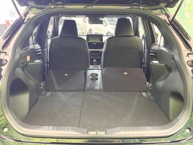 24932491_carP_l_2.jpg