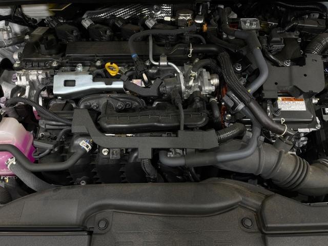 25506957_carP_l_16.jpg