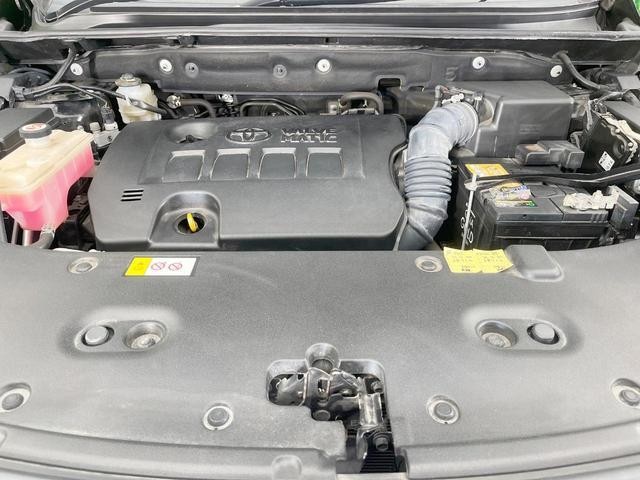 25344192_carP_l_16.jpg