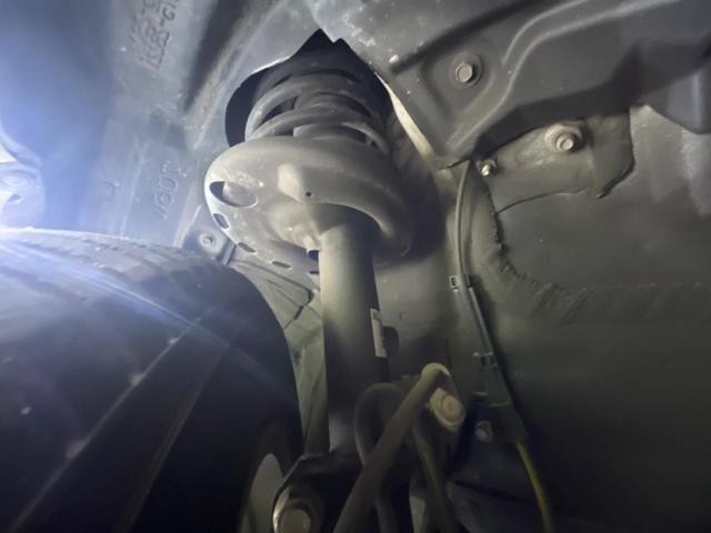 24155444_carP_l_18.jpg
