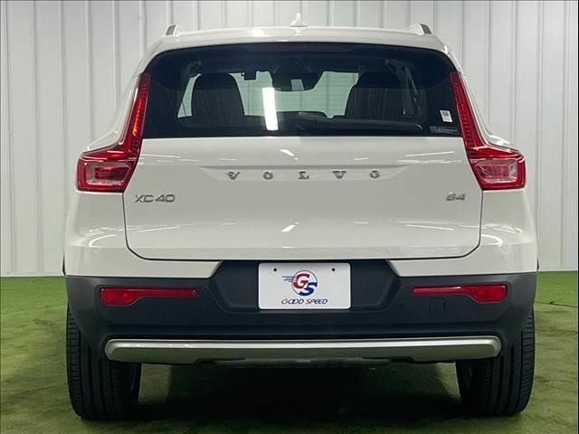 26224883_carP_l_11.jpg