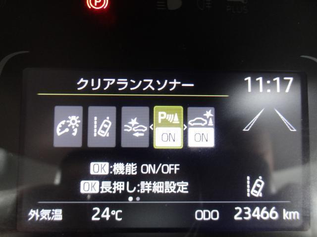 24239326_carP_l_18.jpg