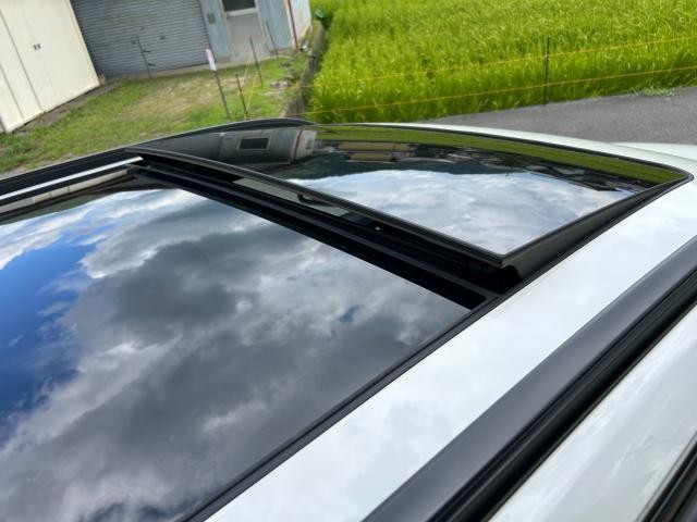 25852528_carP_l_10.jpg