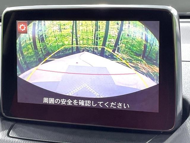 25015350_carP_l_4.jpg