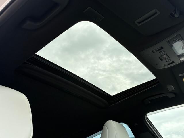 1001421A30261025W00104.jpg