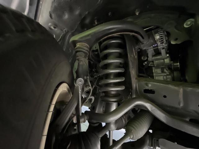 25904378_carP_l_20.jpg