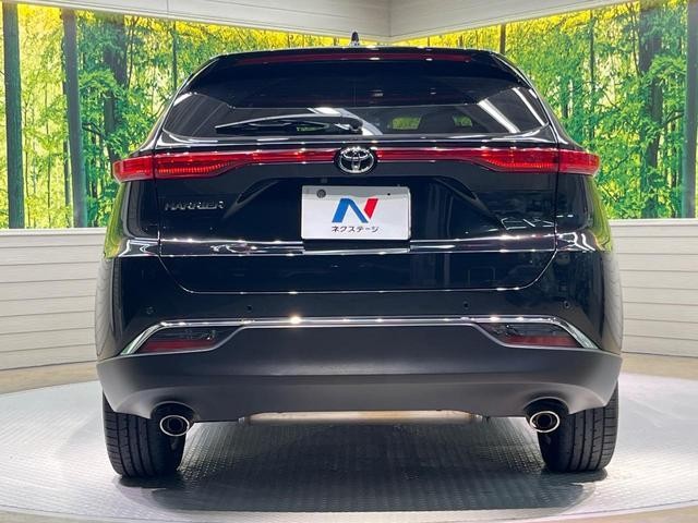 26292973_carP_l_9.jpg
