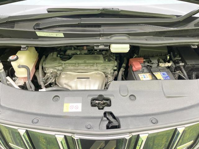 23986961_carP_l_3.jpg
