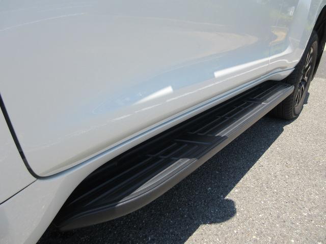 24542456_carP_l_7.jpg