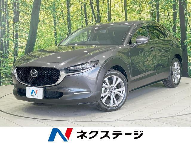 24199795_carP_l_1.jpg