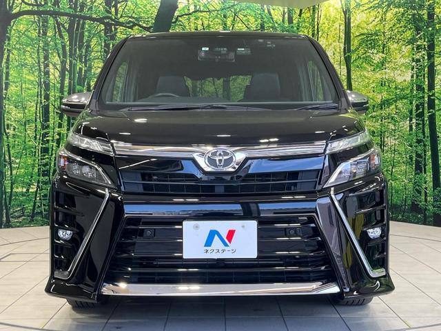 24319768_carP_l_9.jpg