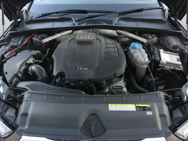 23696052_carP_l_17.jpg