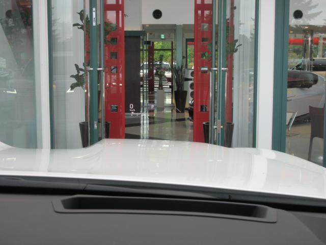 23700220_carP_l_11.jpg