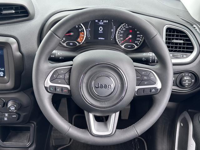 23735170_carP_l_18.jpg