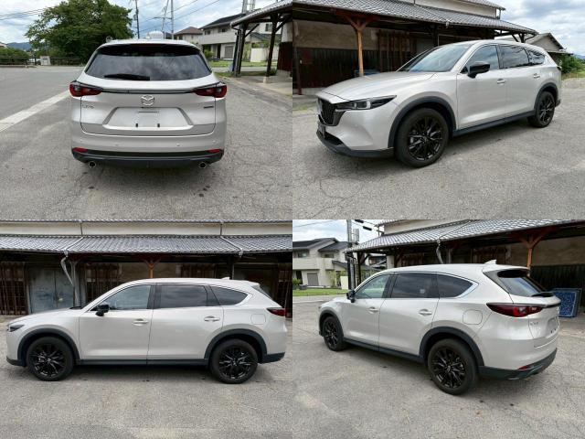 24542628_carP_l_3.jpg