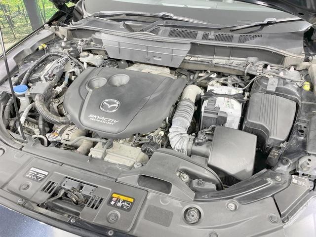 25303911_carP_l_20.jpg