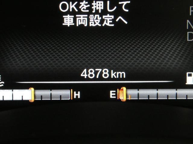 23735172_carP_l_10.jpg