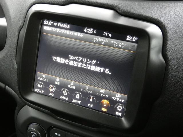 23735172_carP_l_6.jpg