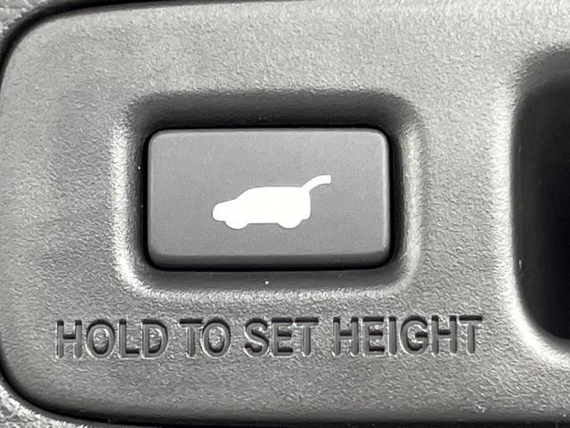25446120_carP_l_14.jpg