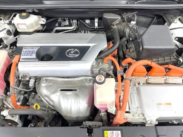 24199871_carP_l_16.jpg