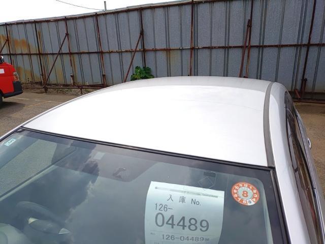 24169830_carP_l_14.jpg