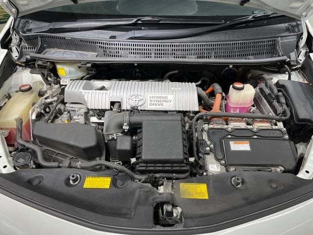 25445773_carP_l_16.jpg