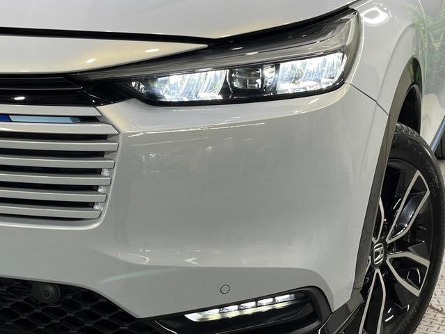 25904353_carP_l_6.jpg
