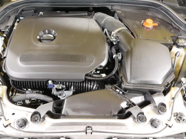 23714511_carP_l_17.jpg
